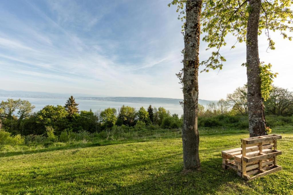 Le Garden - Ski - Vue Lac - Piscine - Parking - Evian - Thonon - Lugrin Dış mekan fotoğraf